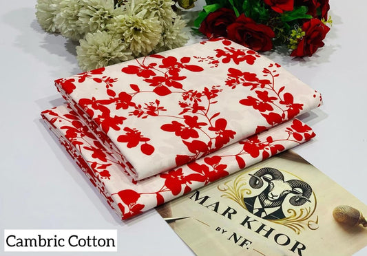 2 Piece - Cotton Cambric Printed Suit RC
